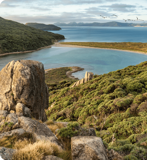 Australia & New Zealand