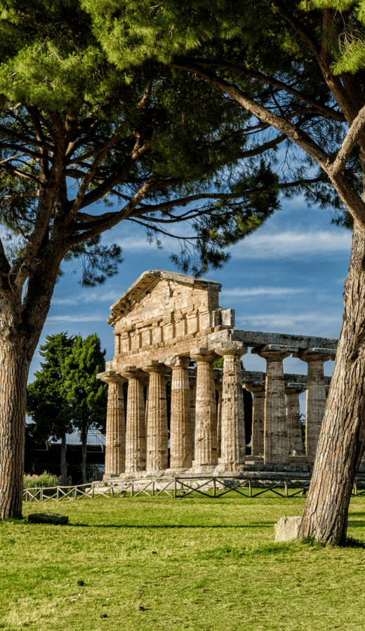 Best of the Mediterranean